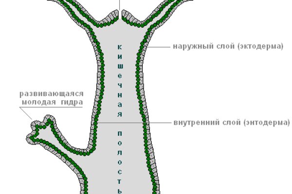 Кракен сайт krk market com