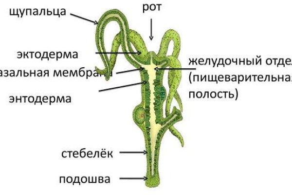 Маркетплейс кракен kraken