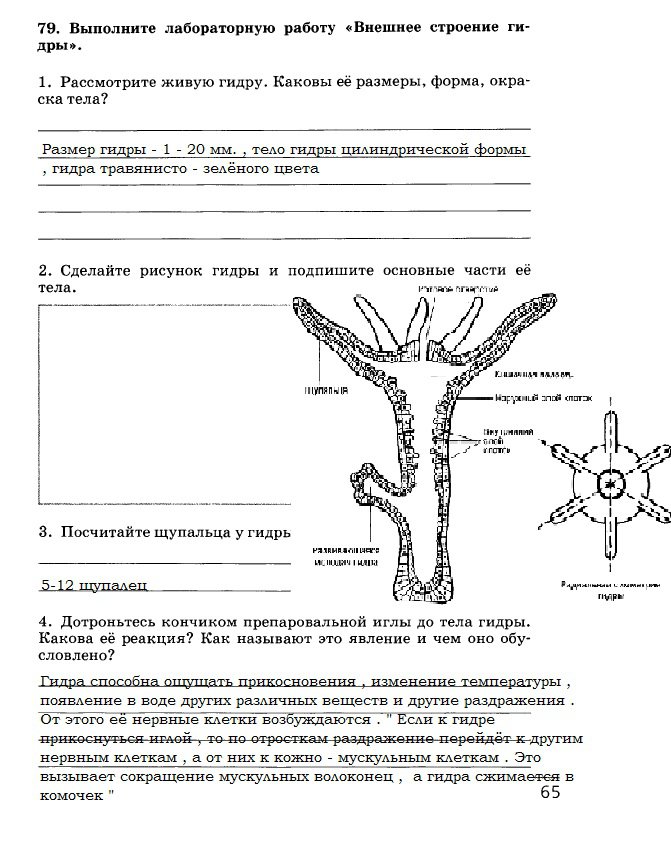 Kra32at