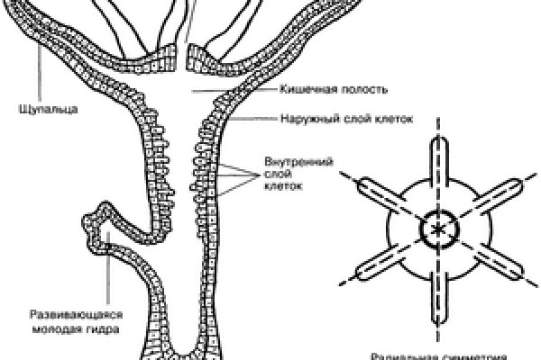 Кракен kr2web in что это